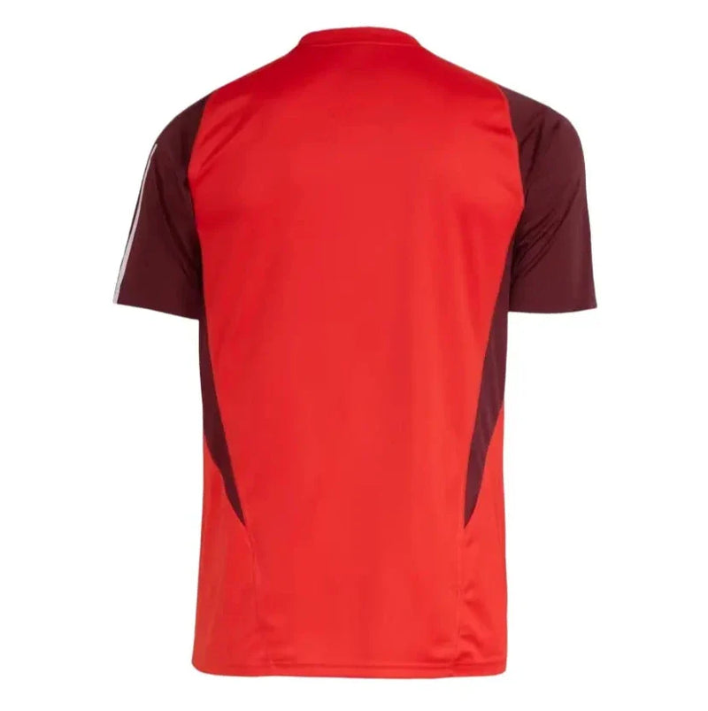 Camisa Internacional 2024/25 Treino - Masculina